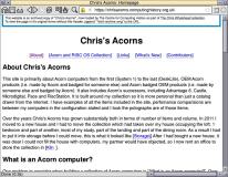Chris's Acorn